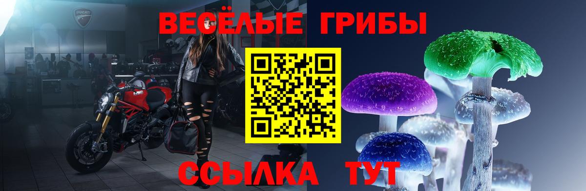 Коркино  сколько стоит  Вход с VPN  Псилоцибиновые грибы GOLDEN TEACHER 